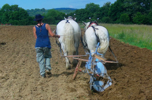 Travaux à Cheval