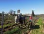 barbeyrolles-03-13-4